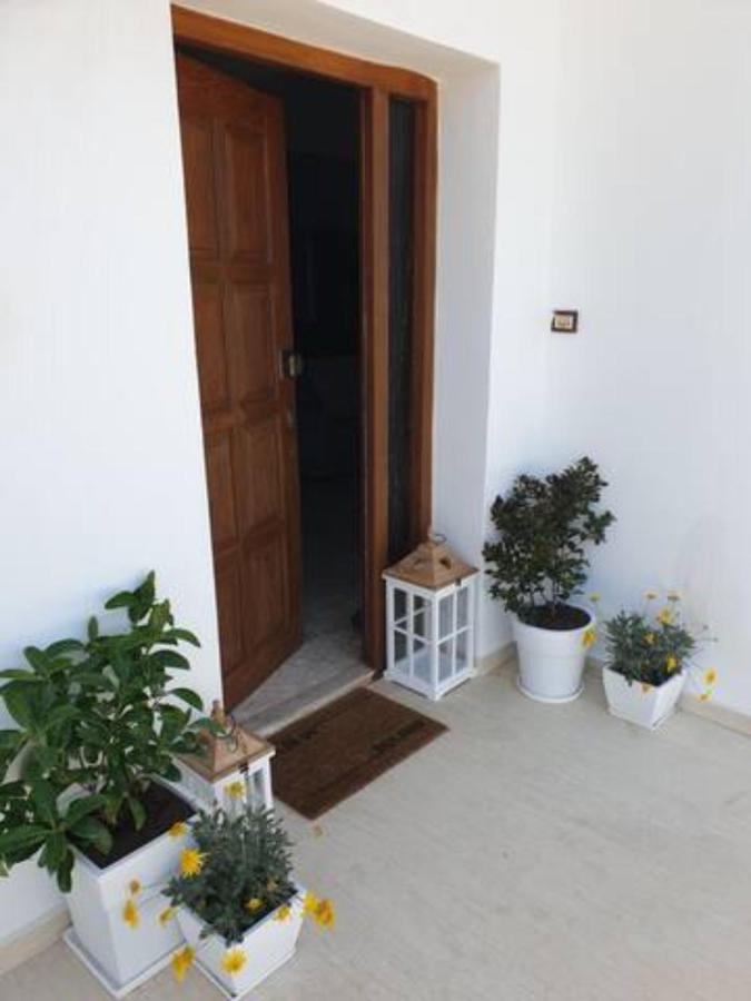 Palaikastro Holiday Apartment Sitia  Exterior photo